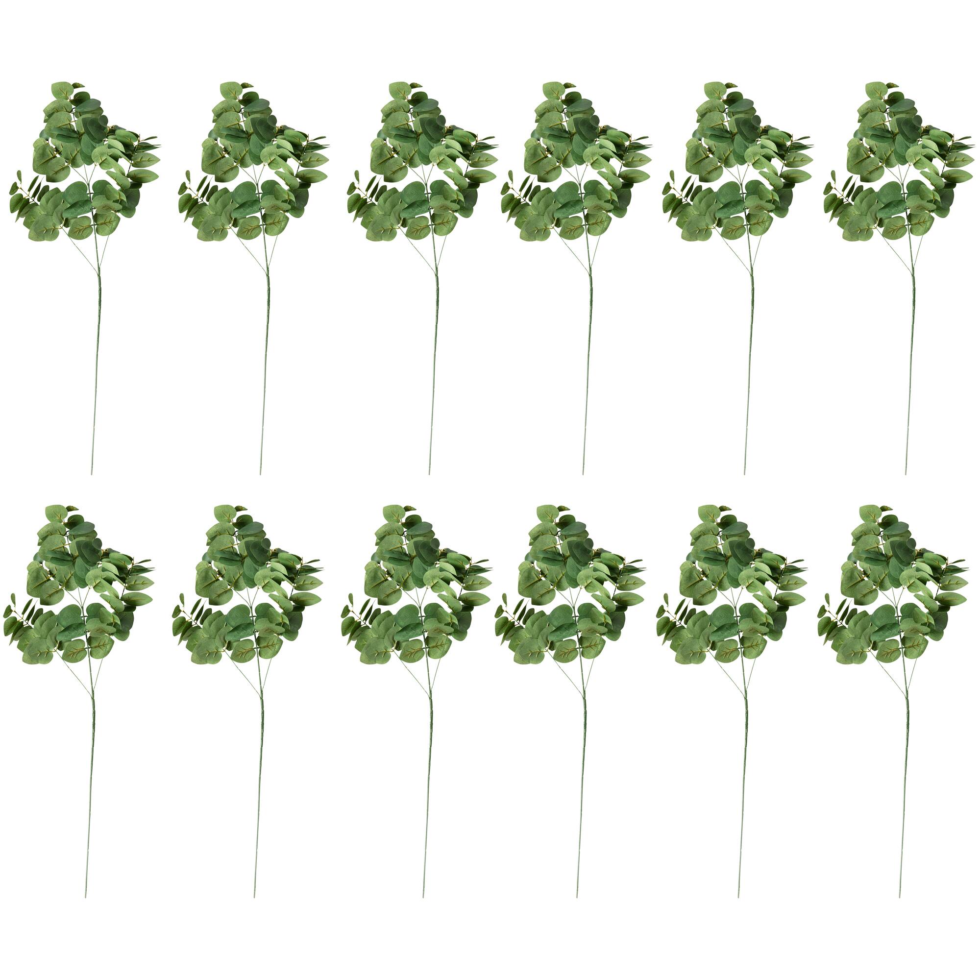 12 Pack: Green Eucalyptus Spray by Ashland®